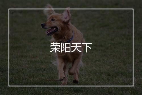 荣阳天下