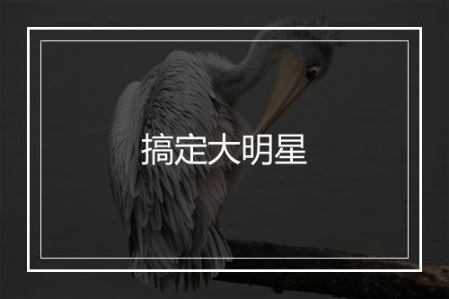 搞定大明星