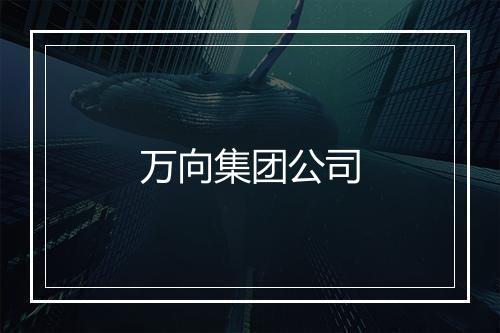 万向集团公司