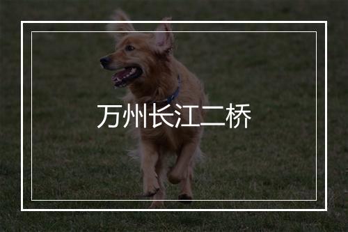 万州长江二桥