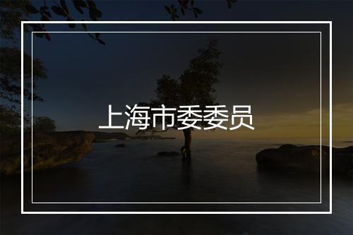 上海市委委员