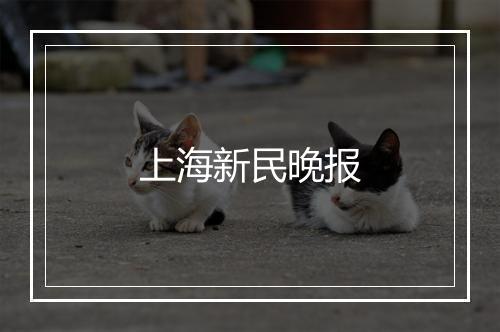 上海新民晚报