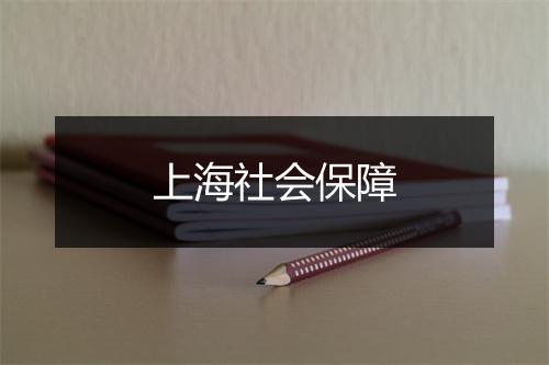 上海社会保障