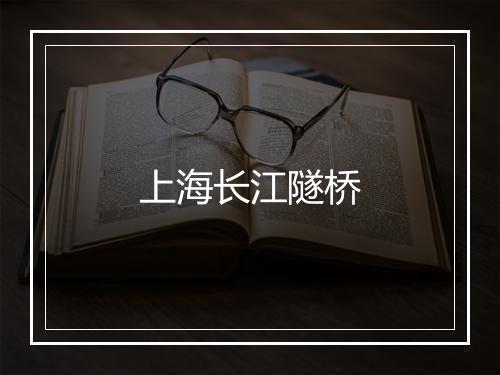 上海长江隧桥