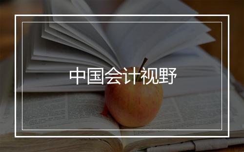 中国会计视野