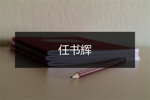 任书辉