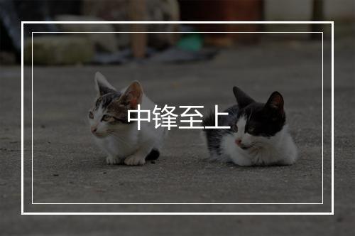 中锋至上