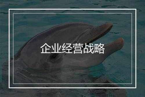 企业经营战略