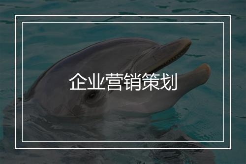 企业营销策划