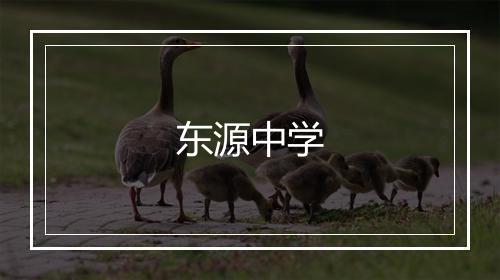 东源中学