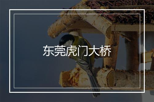 东莞虎门大桥