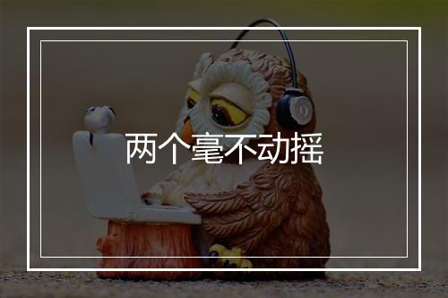 两个毫不动摇