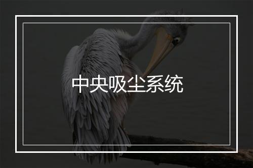 中央吸尘系统