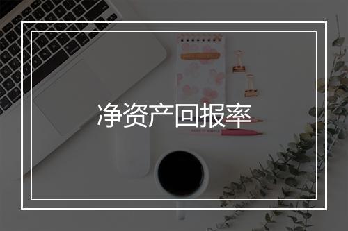 净资产回报率