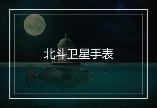 北斗卫星手表