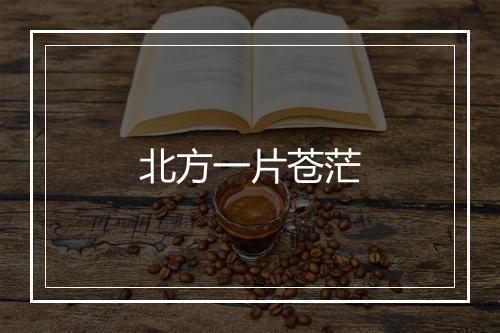 北方一片苍茫