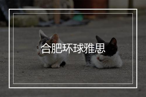 合肥环球雅思