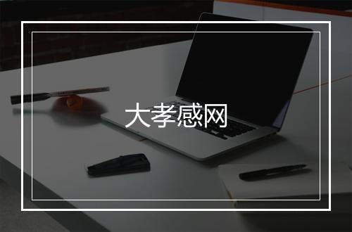 大孝感网