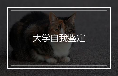 大学自我鉴定