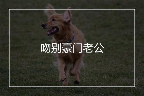 吻别豪门老公