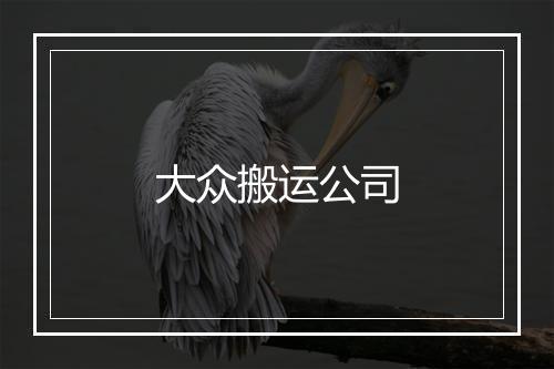 大众搬运公司