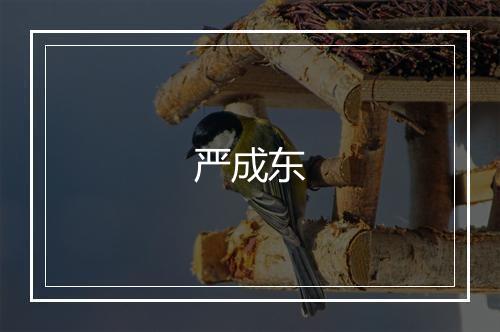 严成东