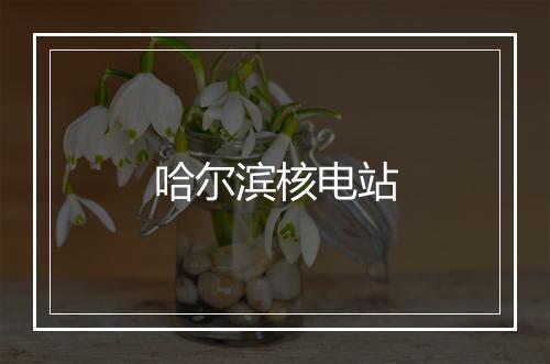 哈尔滨核电站