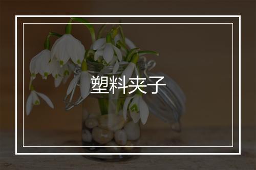 塑料夹子