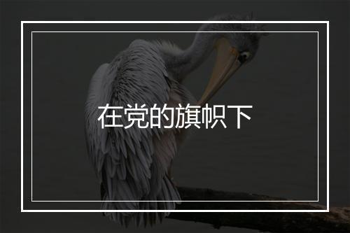 在党的旗帜下