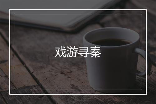 戏游寻秦