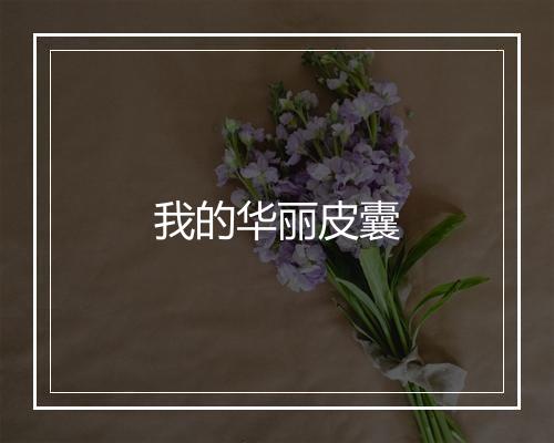 我的华丽皮囊