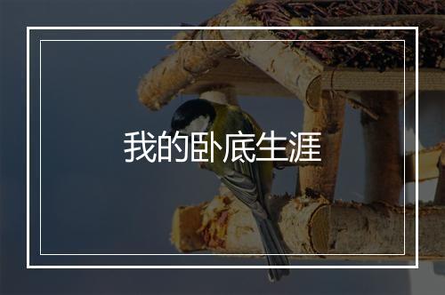 我的卧底生涯