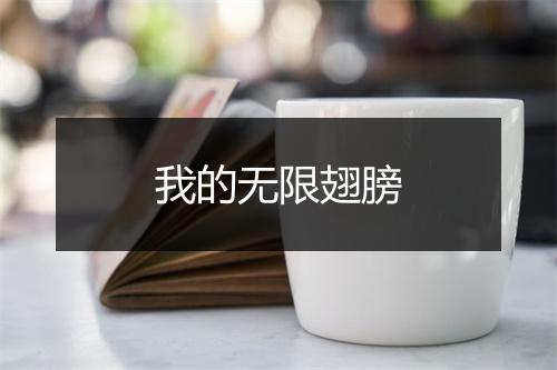 我的无限翅膀