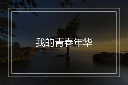 我的青春年华