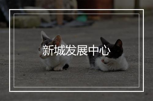 新城发展中心