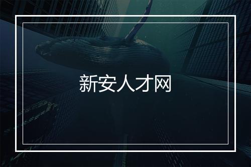 新安人才网