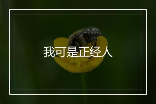 我可是正经人