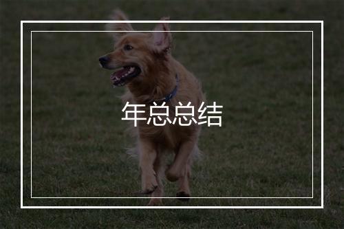 年总总结