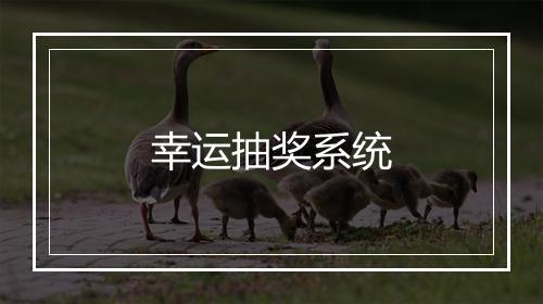 幸运抽奖系统