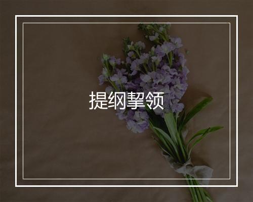 提纲挈领