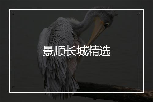 景顺长城精选