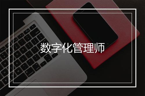 数字化管理师