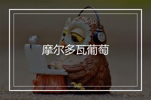 摩尔多瓦葡萄