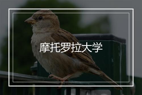 摩托罗拉大学