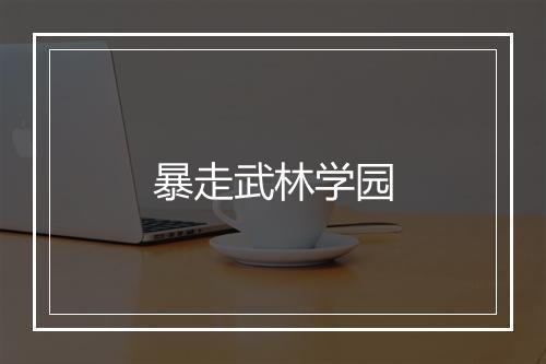 暴走武林学园