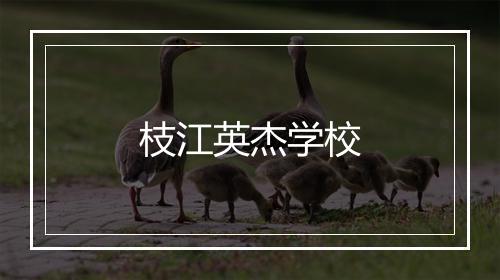 枝江英杰学校