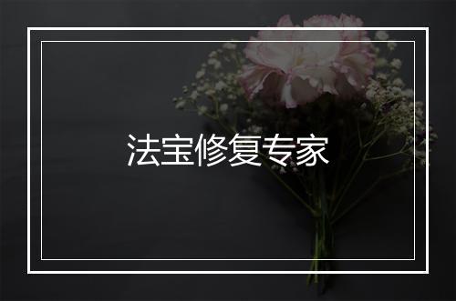 法宝修复专家