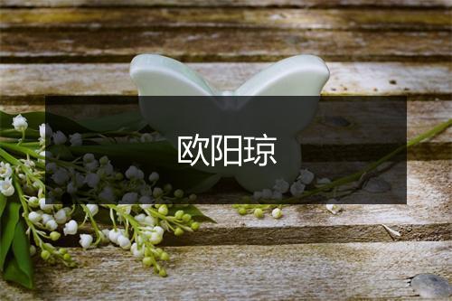 欧阳琼