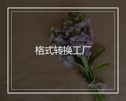 格式转换工厂