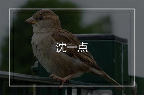 沈一点